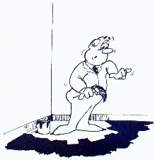 9.jpg (33724 bytes)